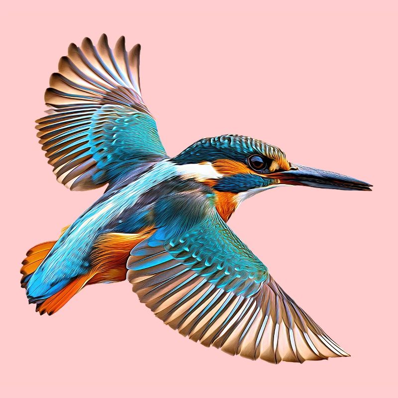 Eisvogel