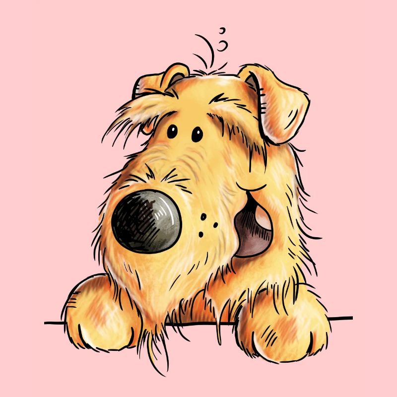 Witziger Airedale Terrier - Welsh Terrier - Hund