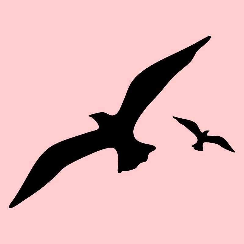 mouette