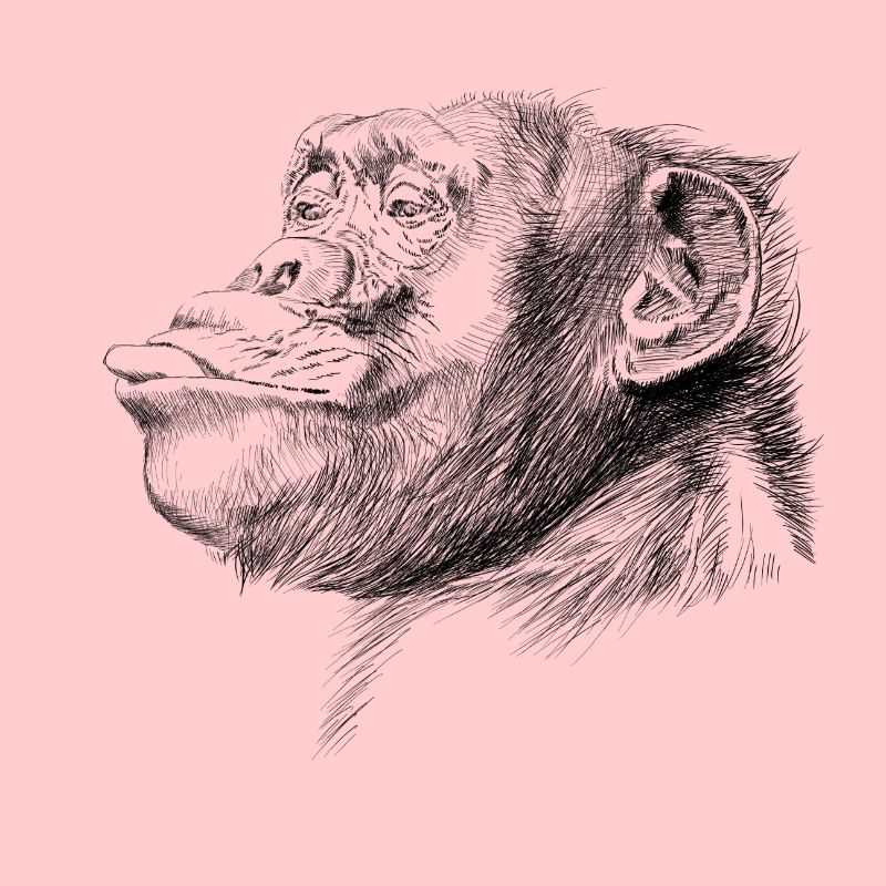 Affe