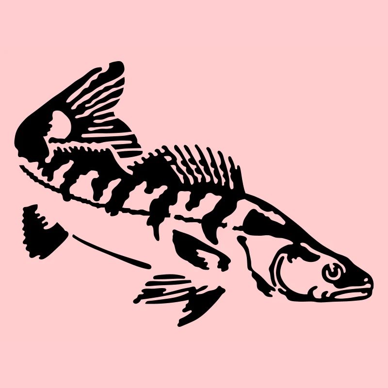 Zander