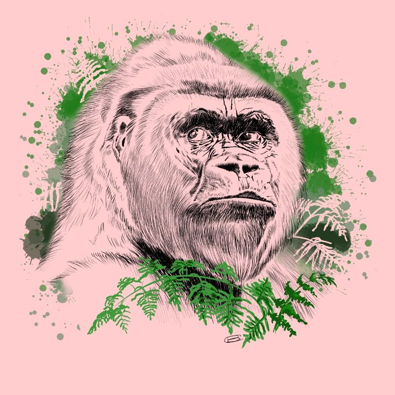 Gorilla