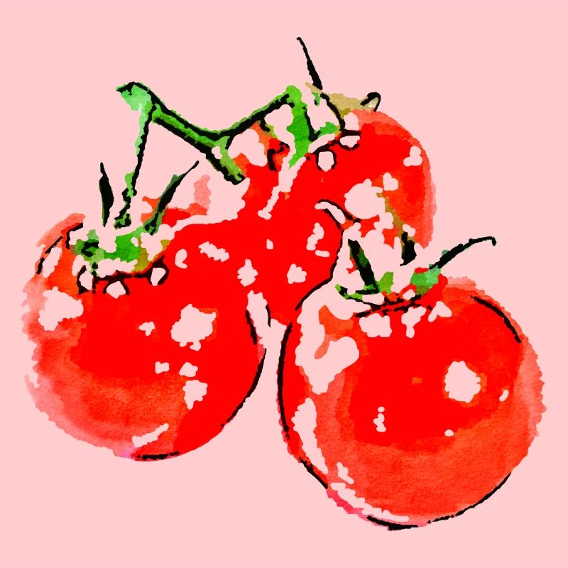 tomato