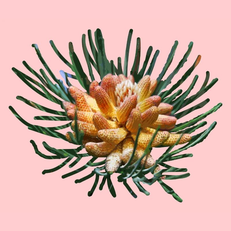 Branches de sapin créatives