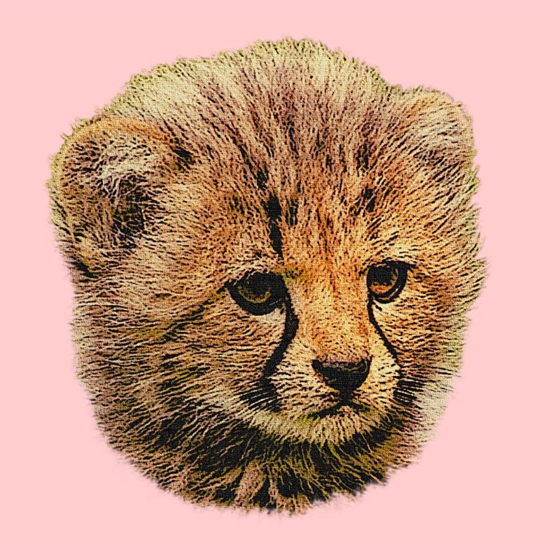 Bébé guépard, bébé animal