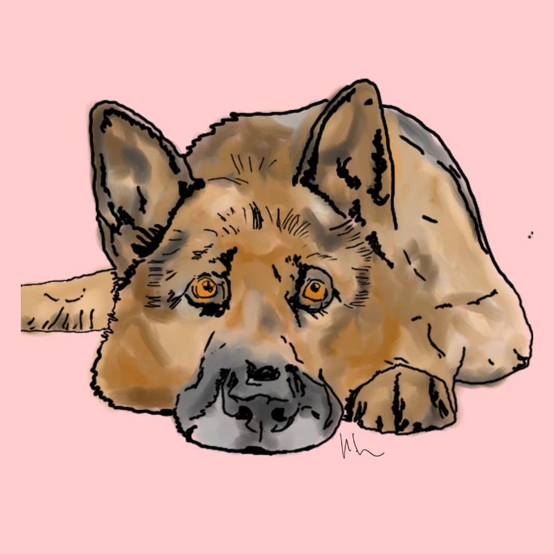 Deutscher Schäferhund