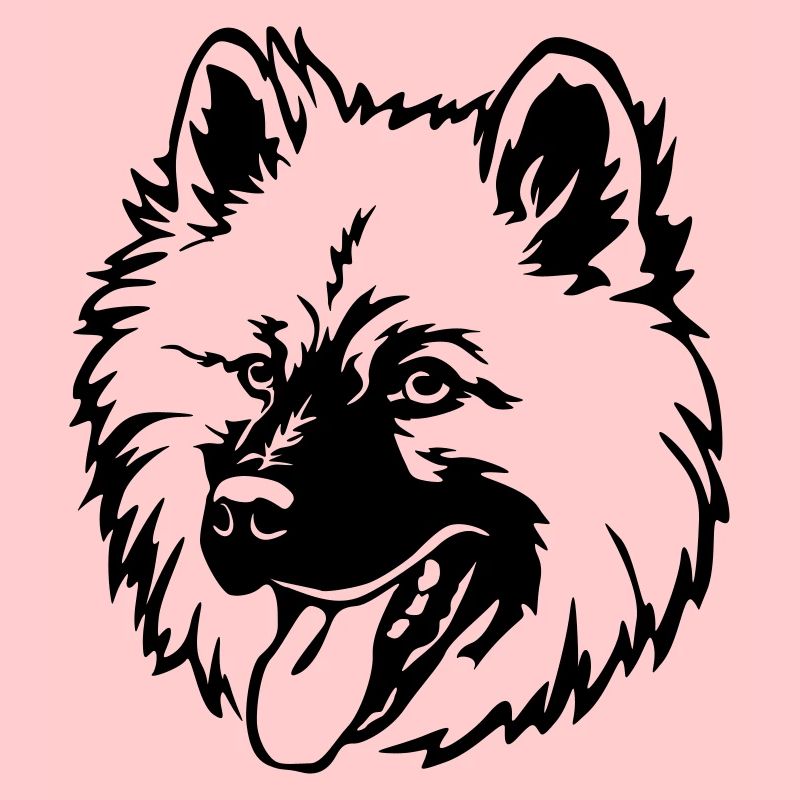 Tête Eurasier