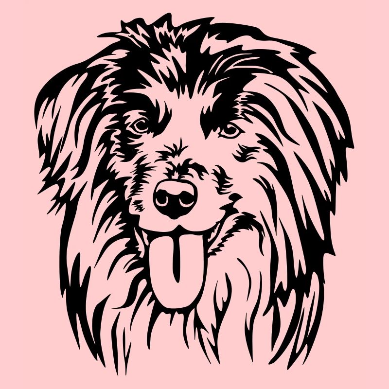 Berger des Pyrénées Kopf