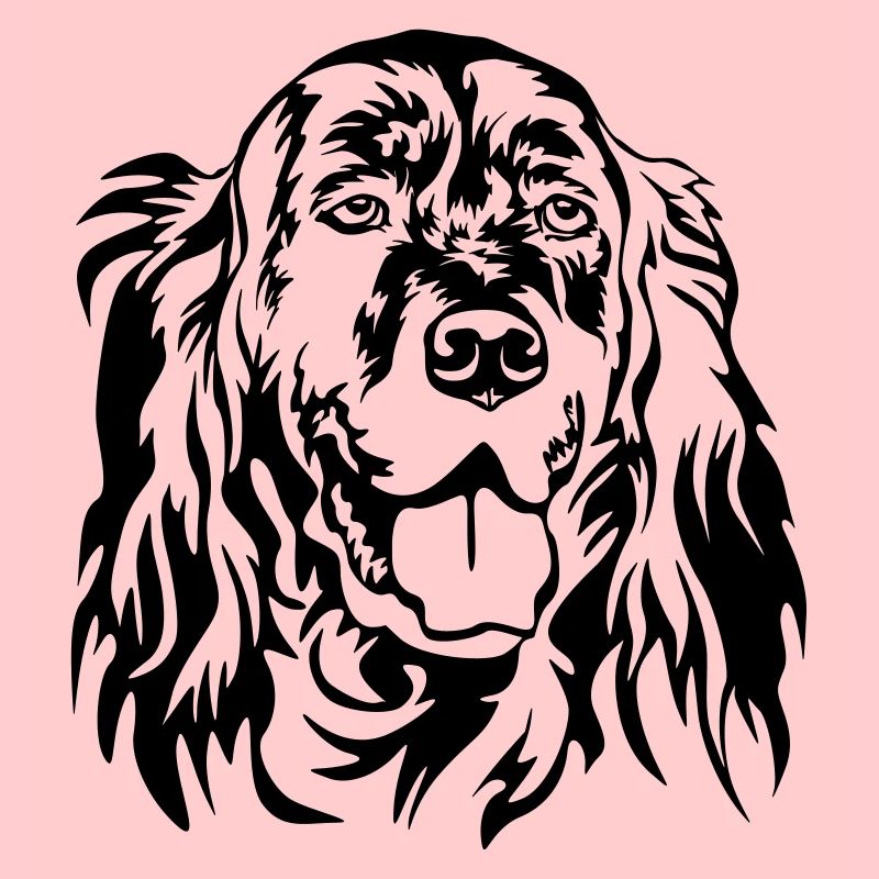 Englischer Setter Kopf