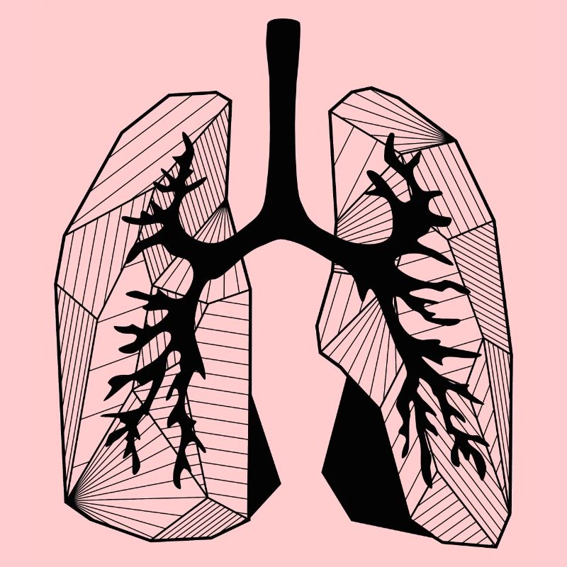 Lungs