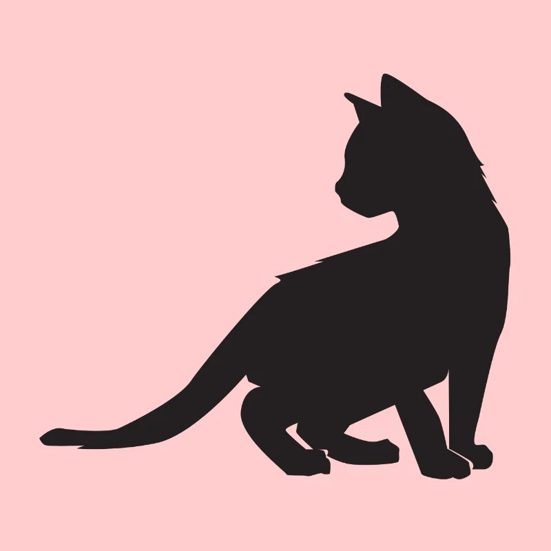 Conception de chaton
