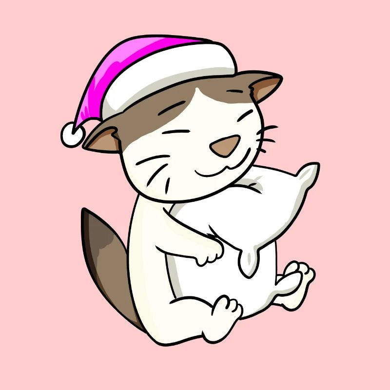 Chat race de chat RagaMuffin