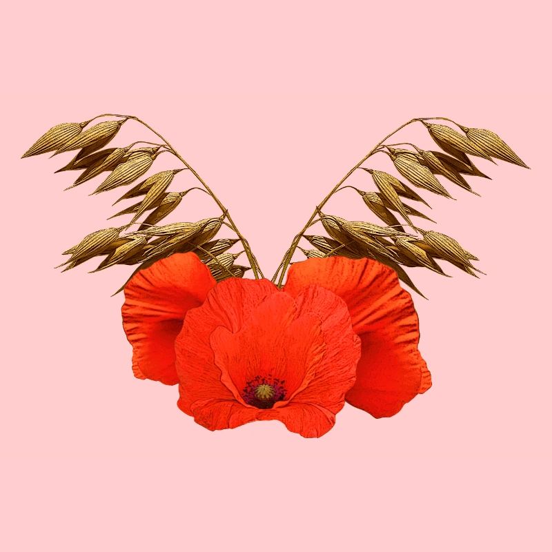 ländliche blumenmuster, Mohnmuster mit Hafer
