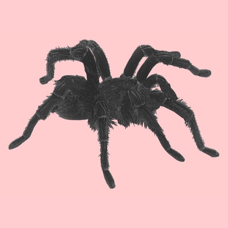 Tarantel design, geburtstagsgeschenk Mann, goth