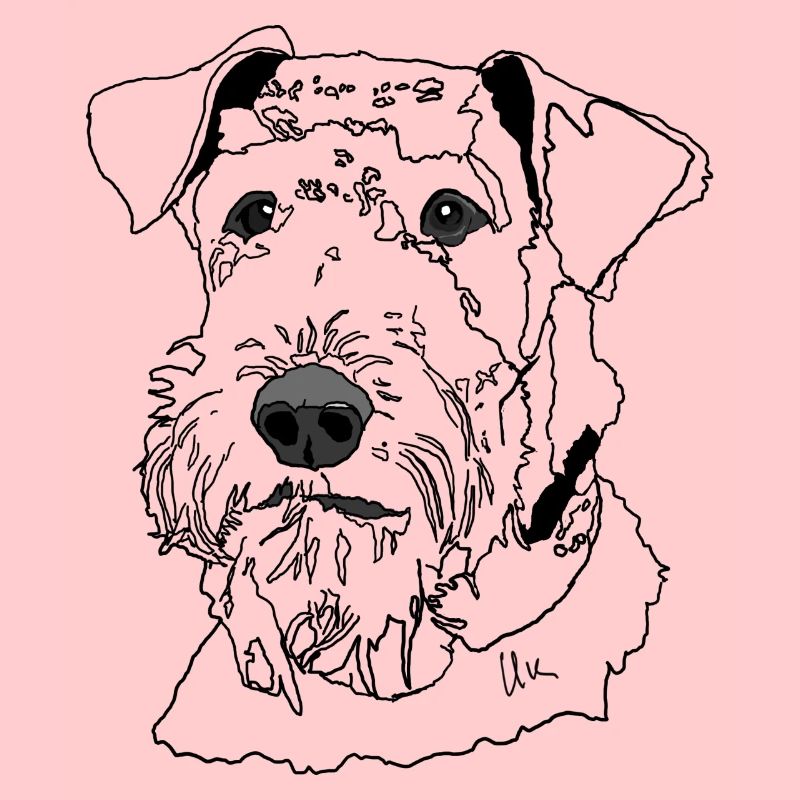 Airedale Terrier