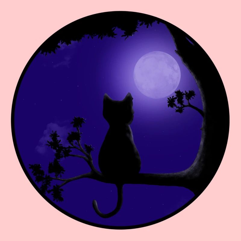 Katze Mond