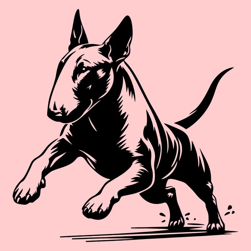 Bullterrier