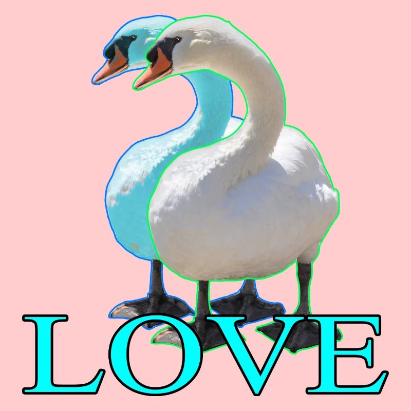 Elegant swans in sleek design
