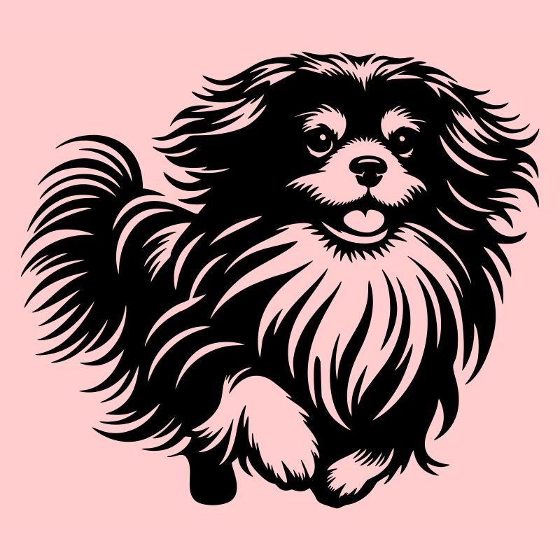 Tibet Spaniel