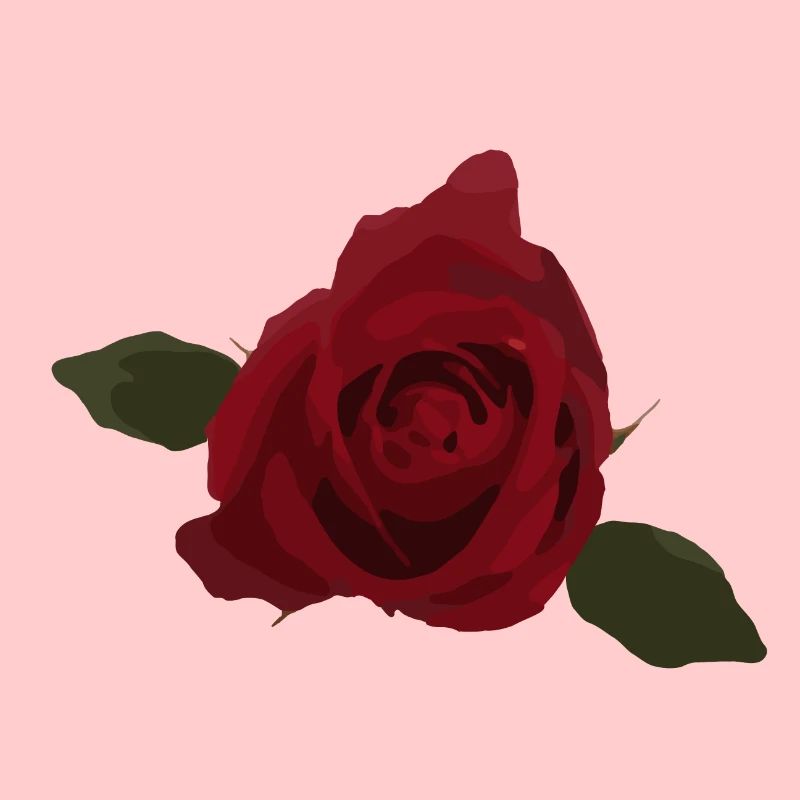 Rose rouge, fleur, vue de dessus