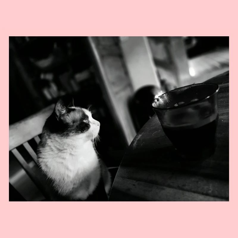 Schwarze Katze und Kaffeetasse