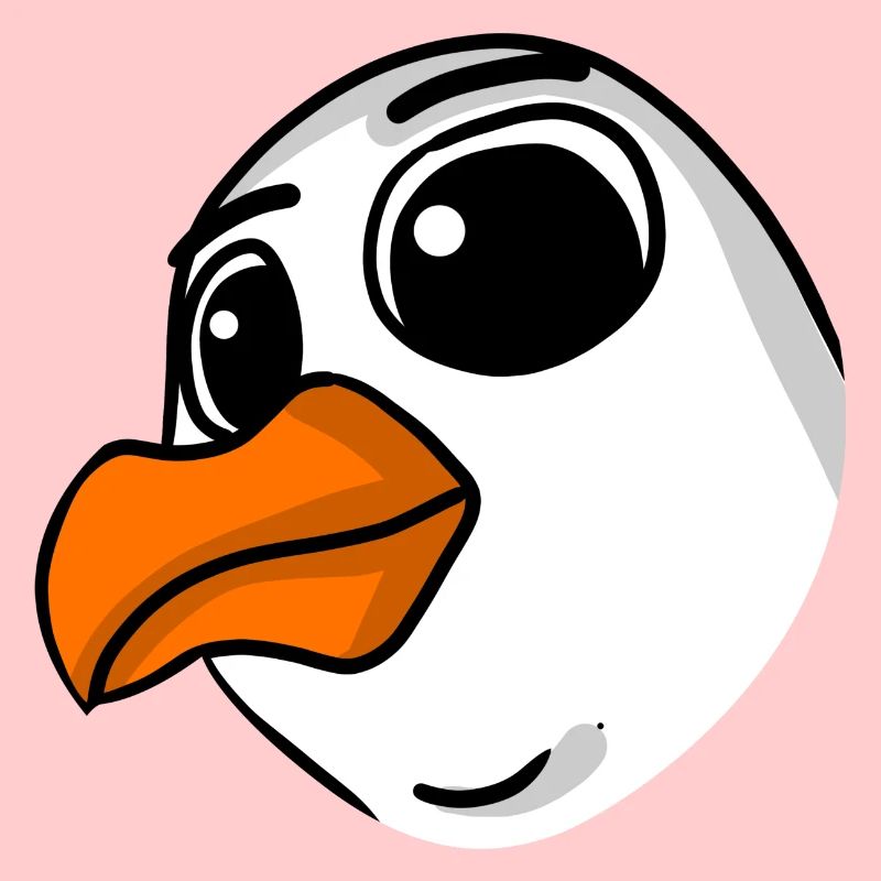 Möwe Kopf