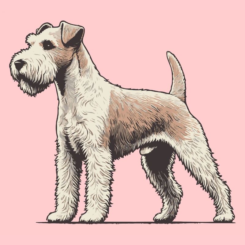Terrier