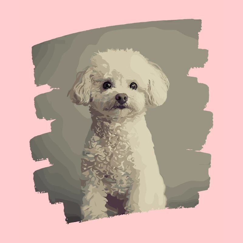 Caniche