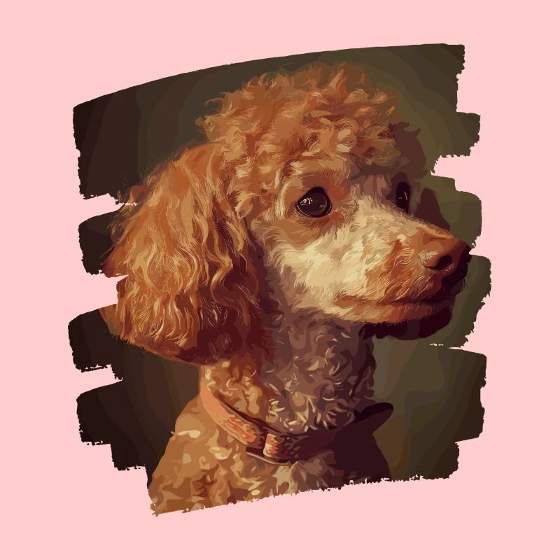 Caniche