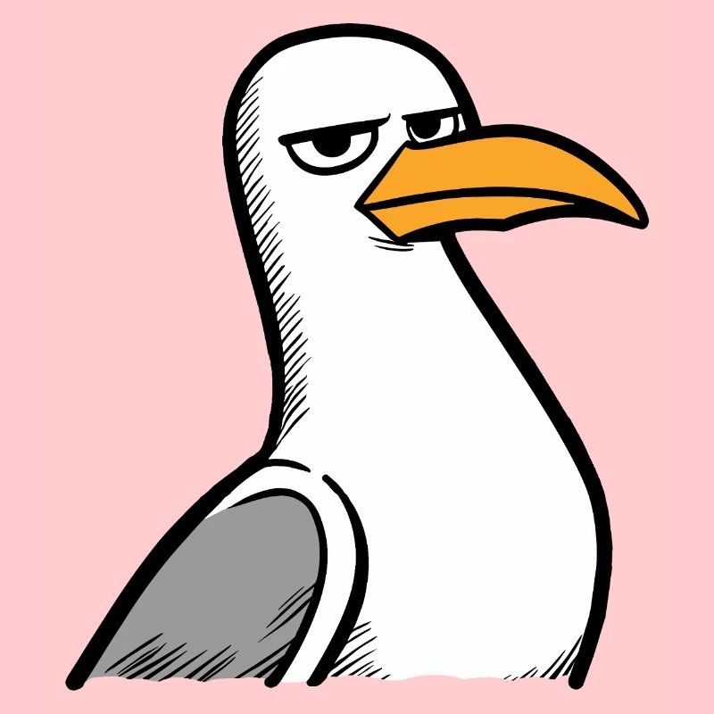 Seagull View