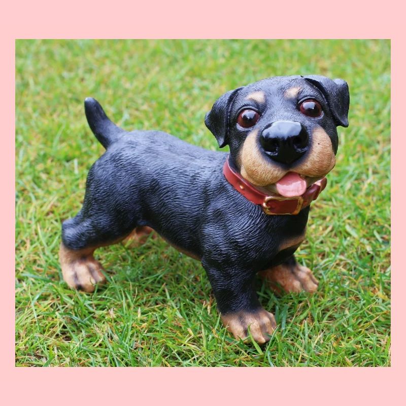 Mignon chiot teckel imprimé