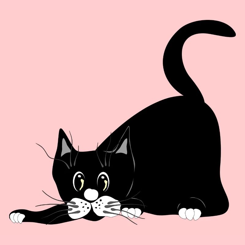 chat