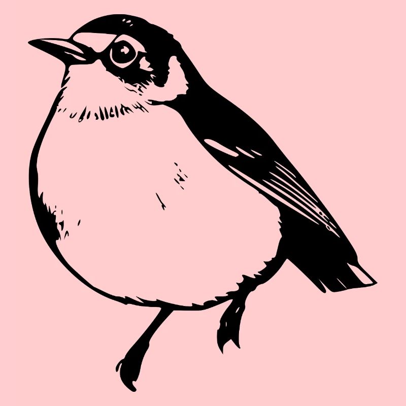 Vogel schwarz schwarzer Vogel