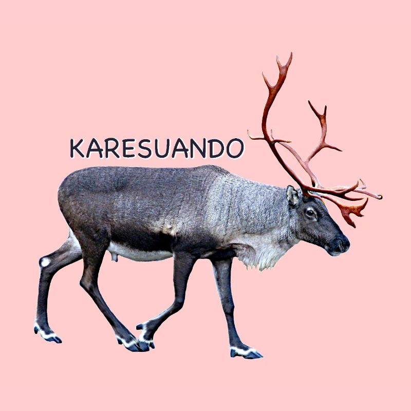 Karesuando