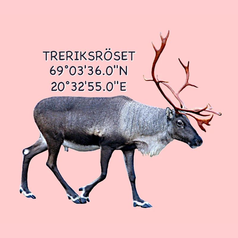 DREI-LÄNDER-ROSETTE