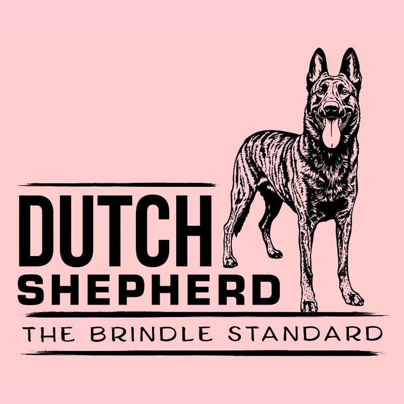 Dutch Shepherd - Dutchie 