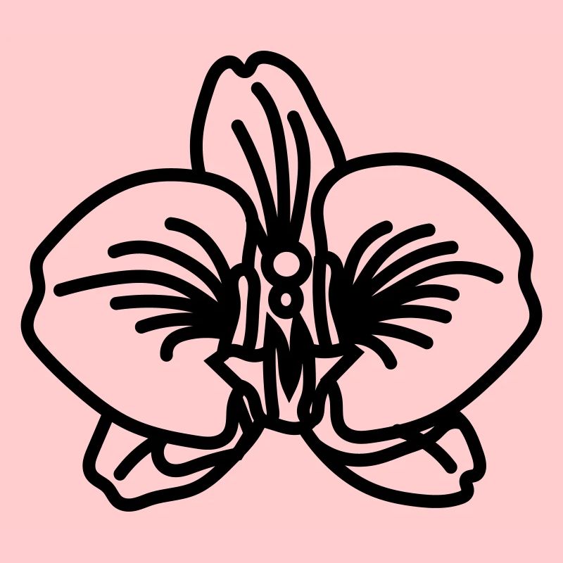 orchidée