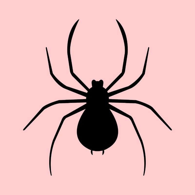 araignée