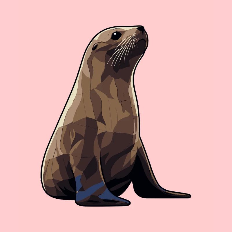 Seehund Tier Seelöwe