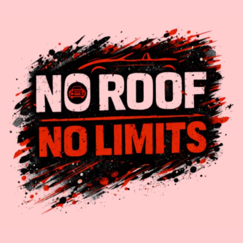 No Rules No Limits Auto Cabrio Spruch 