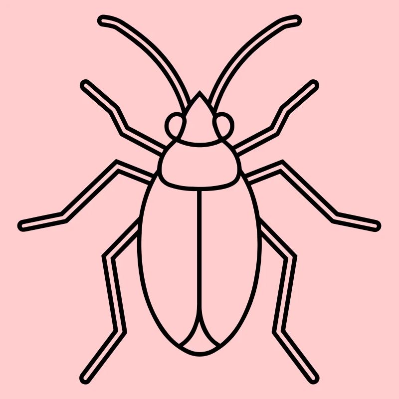 Aphid