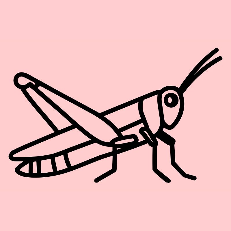 grasshopper