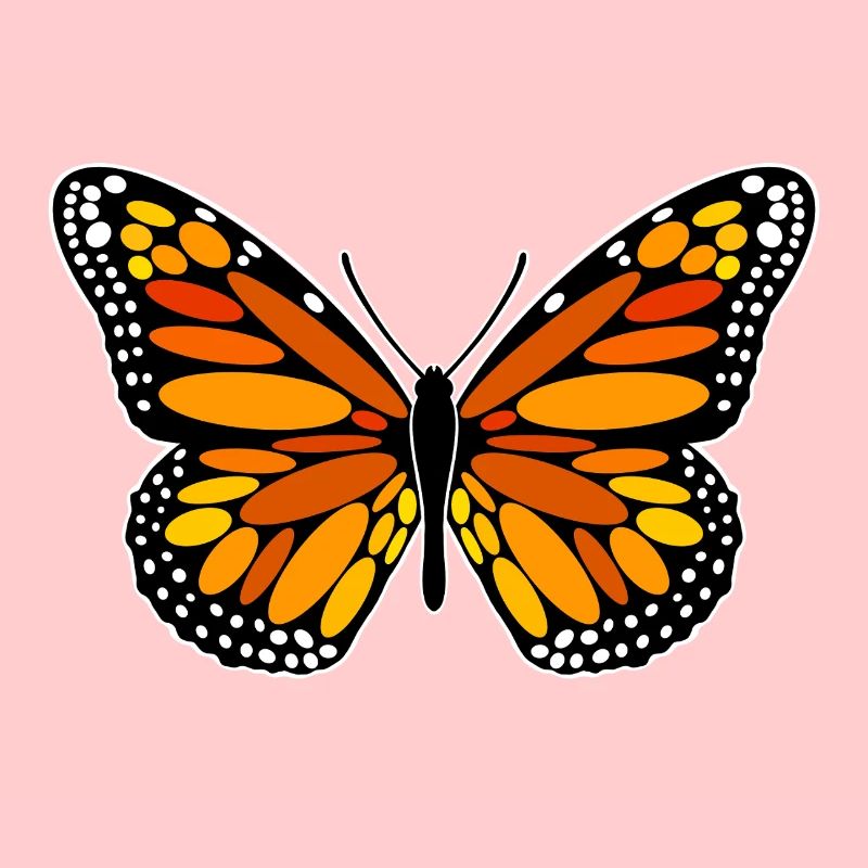 Papillon monarque