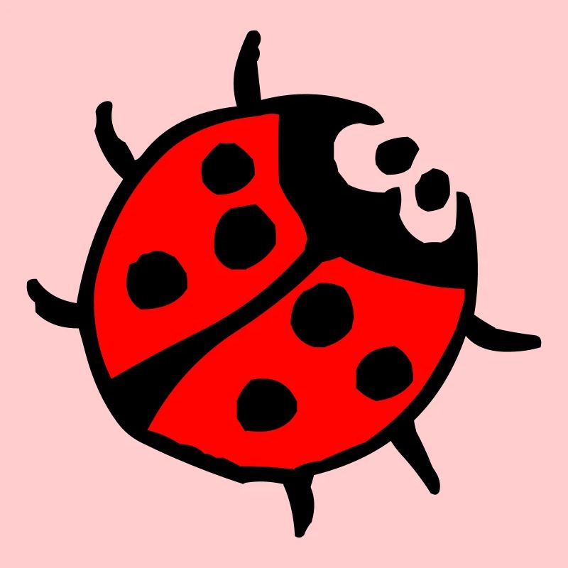 Marienkäfer