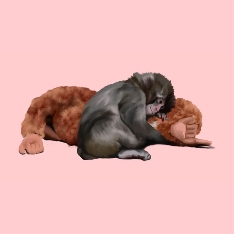 Punch - das Äffchen