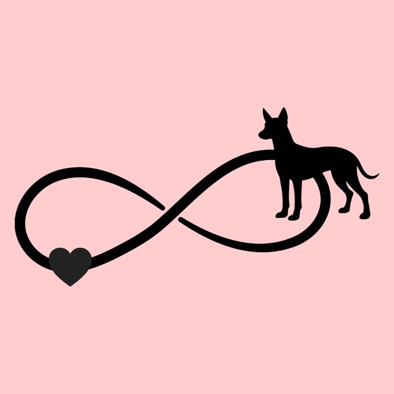 Xoloitzcuintle Infinity