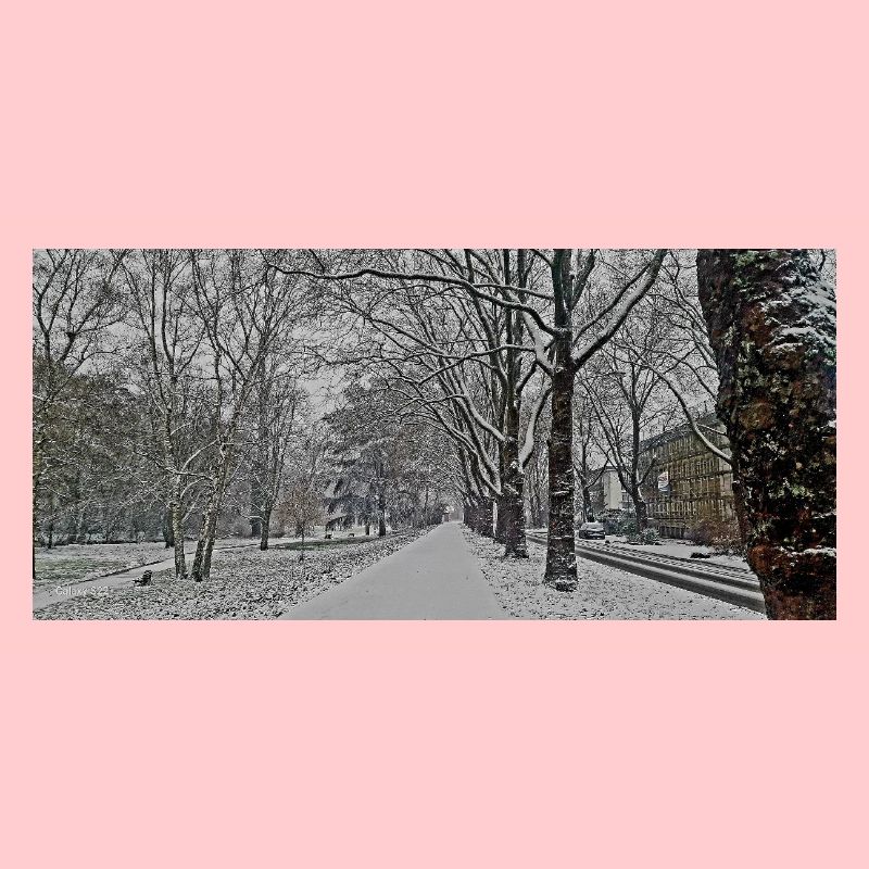 Winter avenue in snowfall