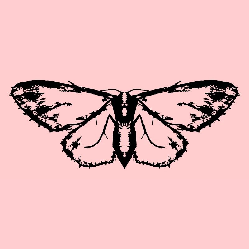 Moth / Butterfly / Moth