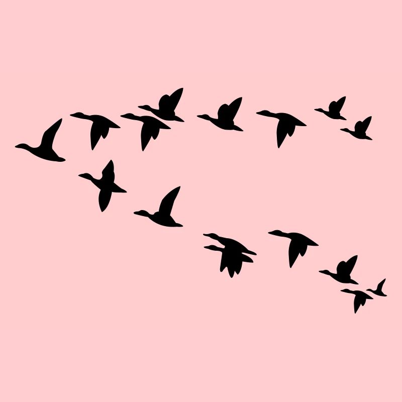 Vogelschwarm flock of birds