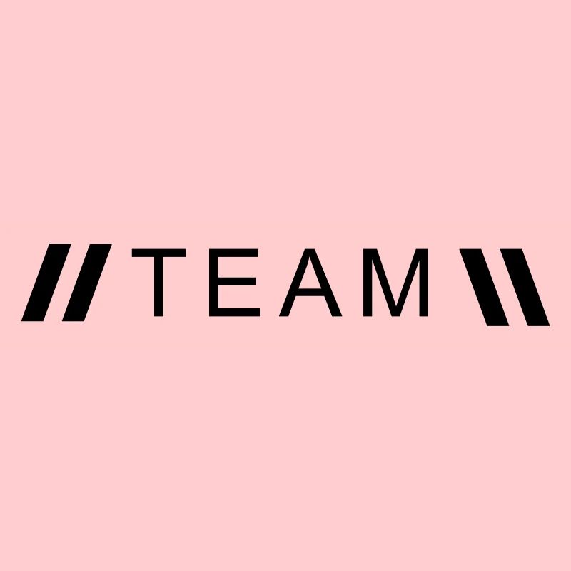 Style Team
